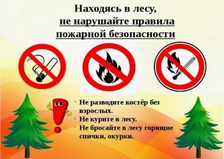Правила пожарной безопасности при нахождении в лесных массивах.