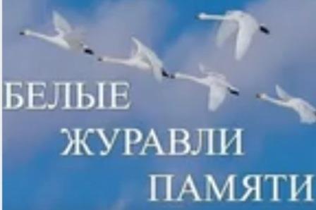 Акция «Белые журавли».